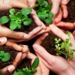 sustainable development